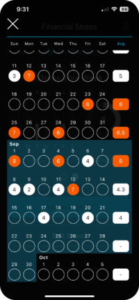 Calendar screenshot